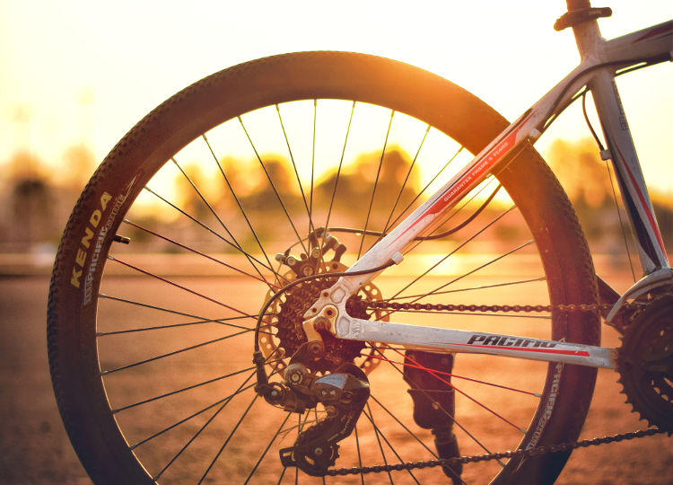 GOWES HERITAGE 2019